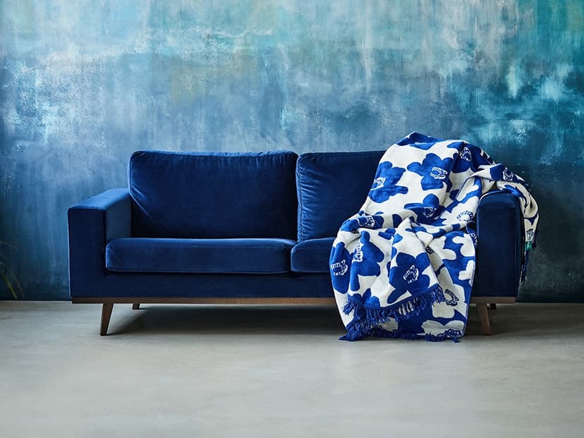 Pled a koc. Czym się różnią?